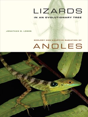 cover image of Lizards in an Evolutionary Tree